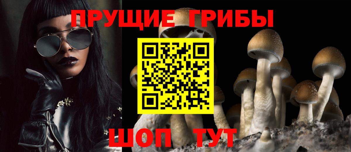 Галлюциногенные грибы GOLDEN TEACHER  Вход с VPN  Галлюциногенные грибы Psilocybine cubensis  Ипатово 